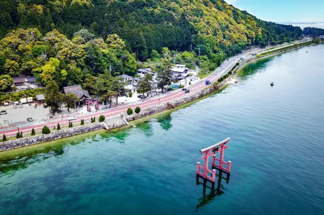 湖西エリアの特別体験