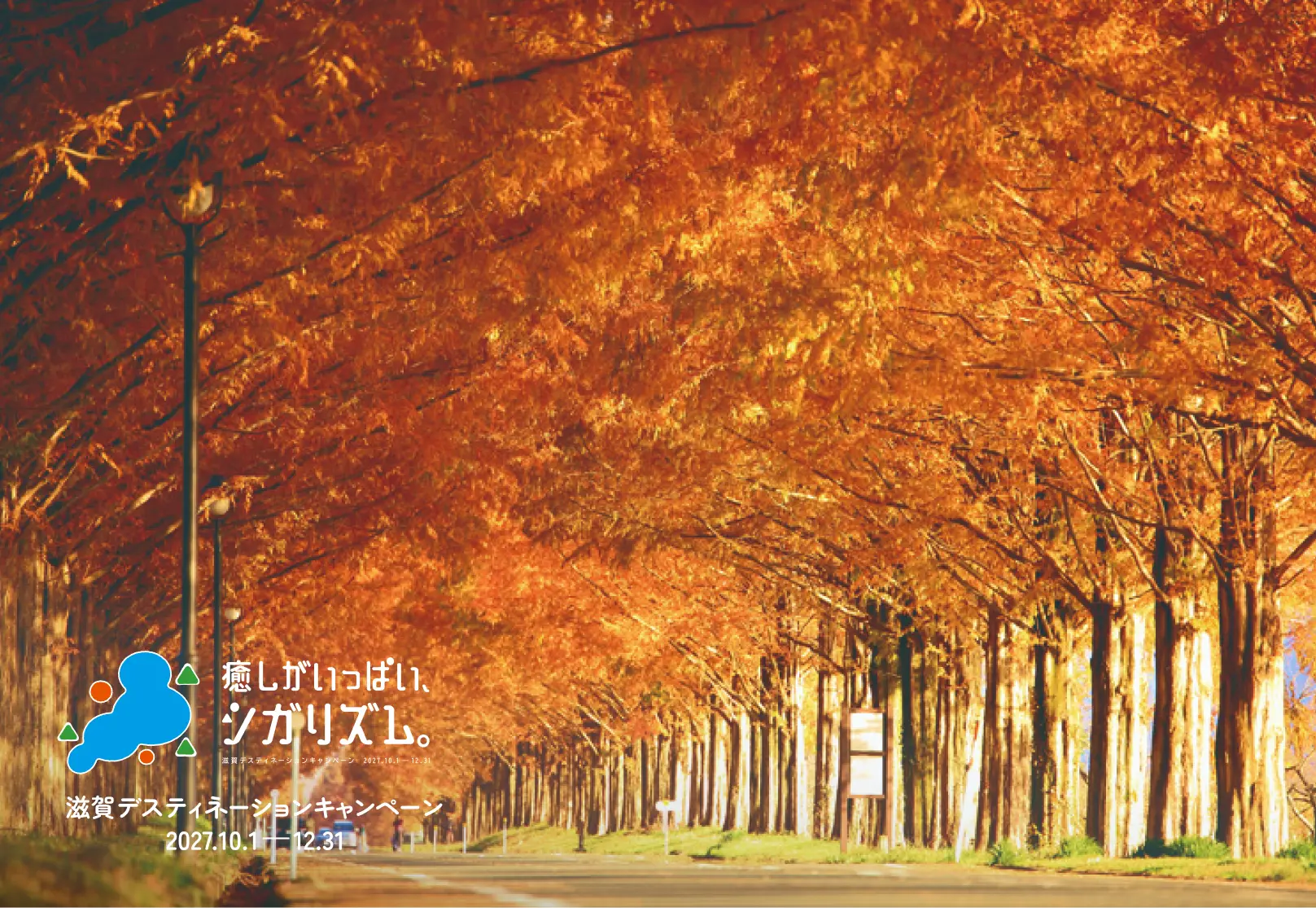 メタセコイア並木の紅葉