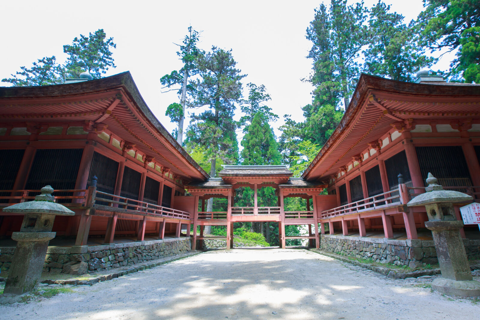 世界遺産「比叡山延暦寺」東塔・西塔ガイドツアー ～修行の山に受け継がれる、祈りの道をたどる～
