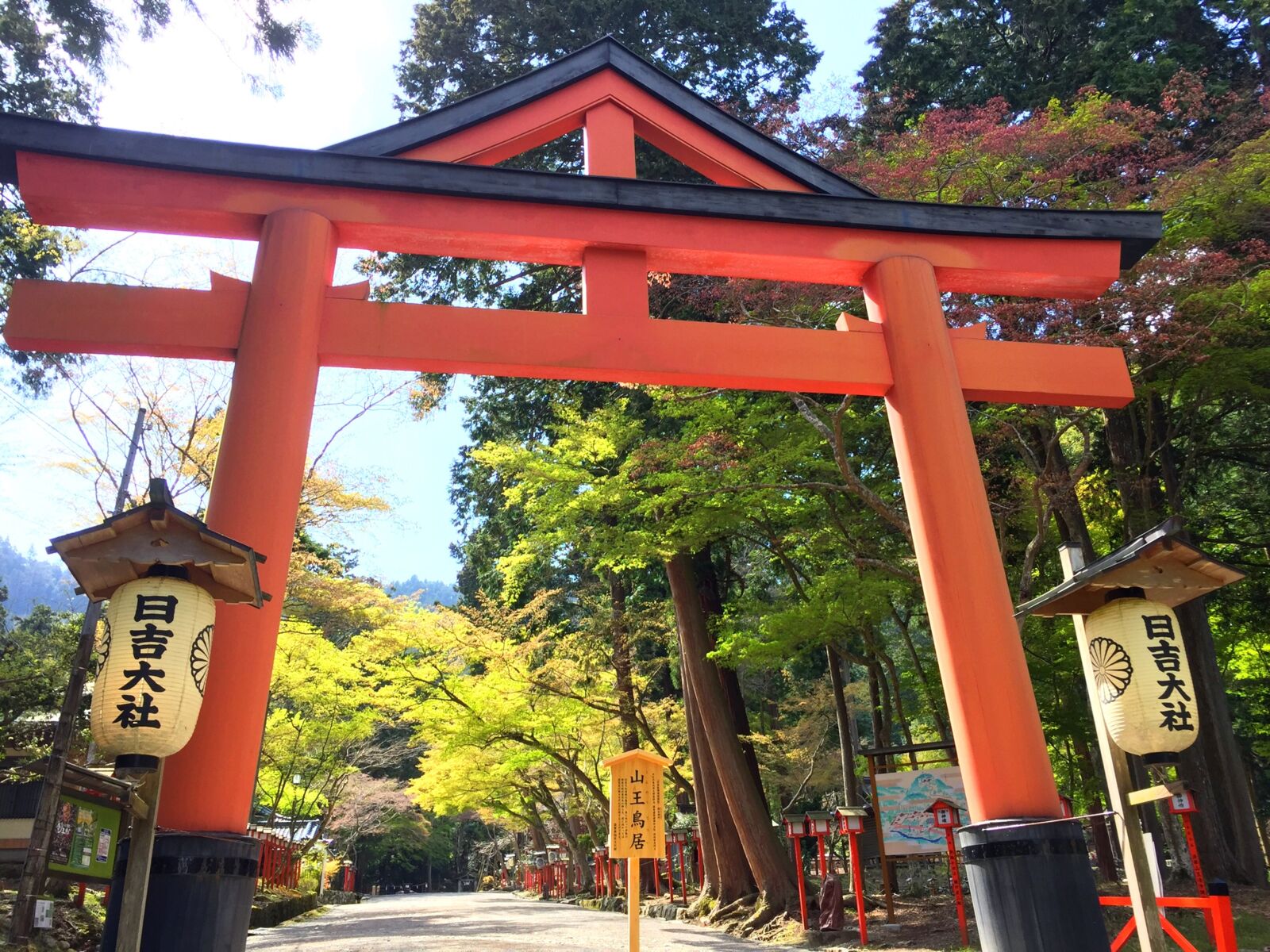 門前町・坂本をゆるりとめぐる ～穴太衆の石積みと苔の里坊、日吉大社七社めぐり～