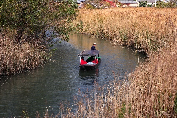 秋色の葭原に漕ぎ出す水郷めぐり