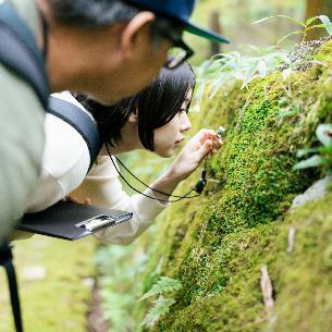歴史ある寺院で苔のミクロの世界にふれる、非日常なウエルネス体験 苔フィールドワーク＆テラリウム制作