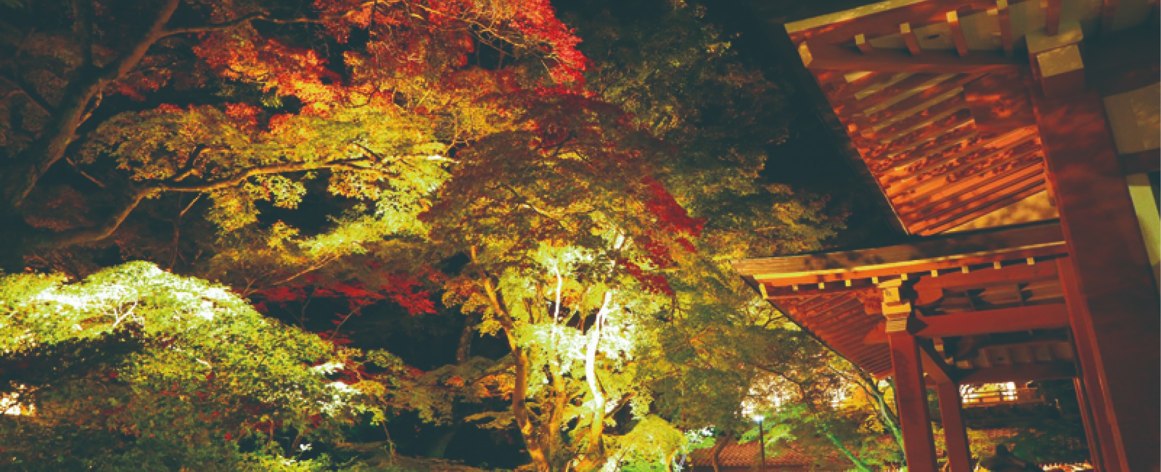永源寺ライトアップ