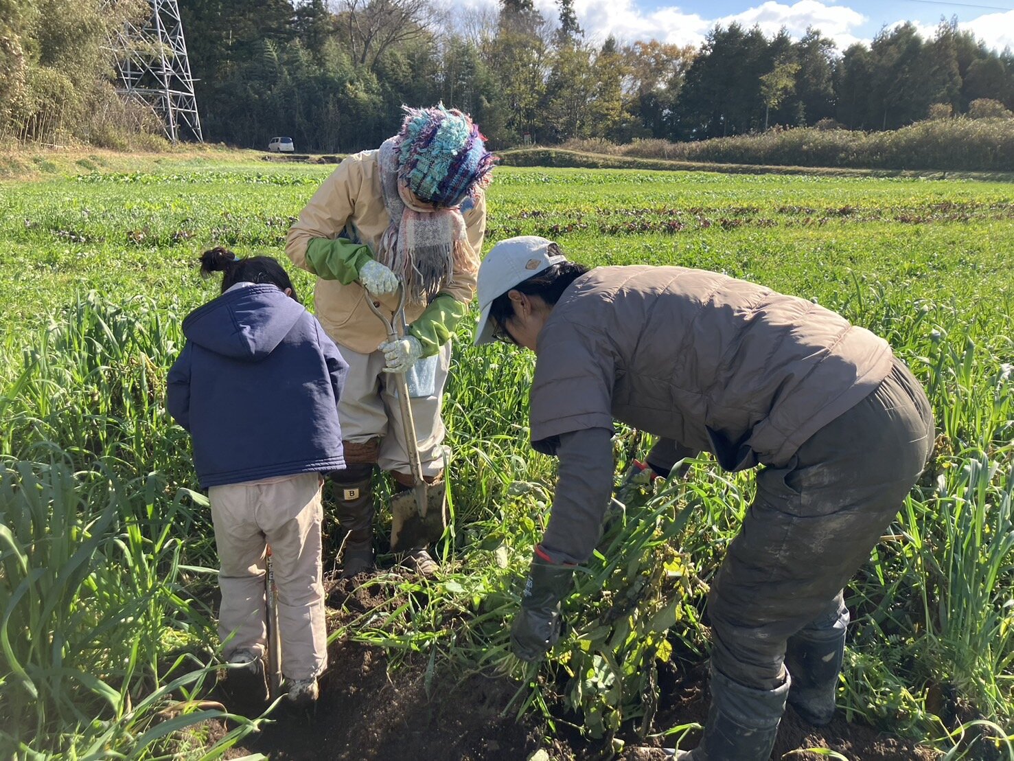 農業体験コーディネート付きで泊まる 一棟貸しゲストハウス「だれんち」