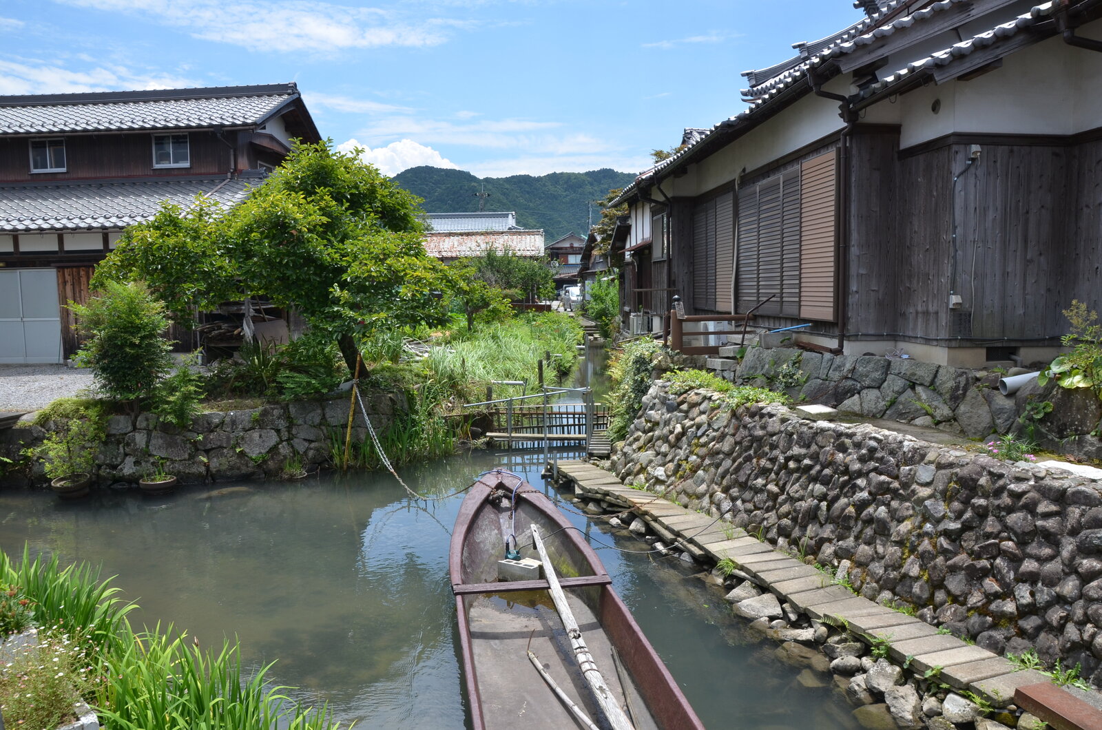 湖辺の郷 伊庭ウォーキング