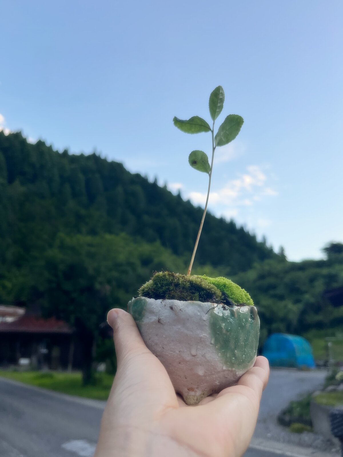森里川湖エコツアー