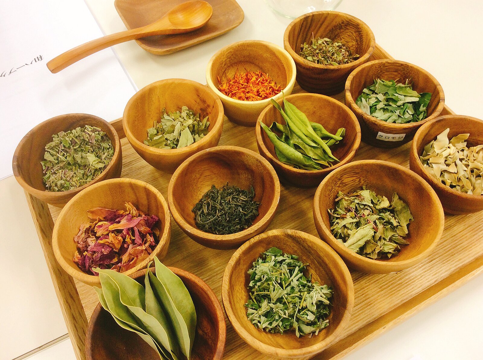 【日本天台三総本山】お寺で特別体験の旅～菊づくしで味わう和の薬草クラフト体験～（延暦寺・西教寺）