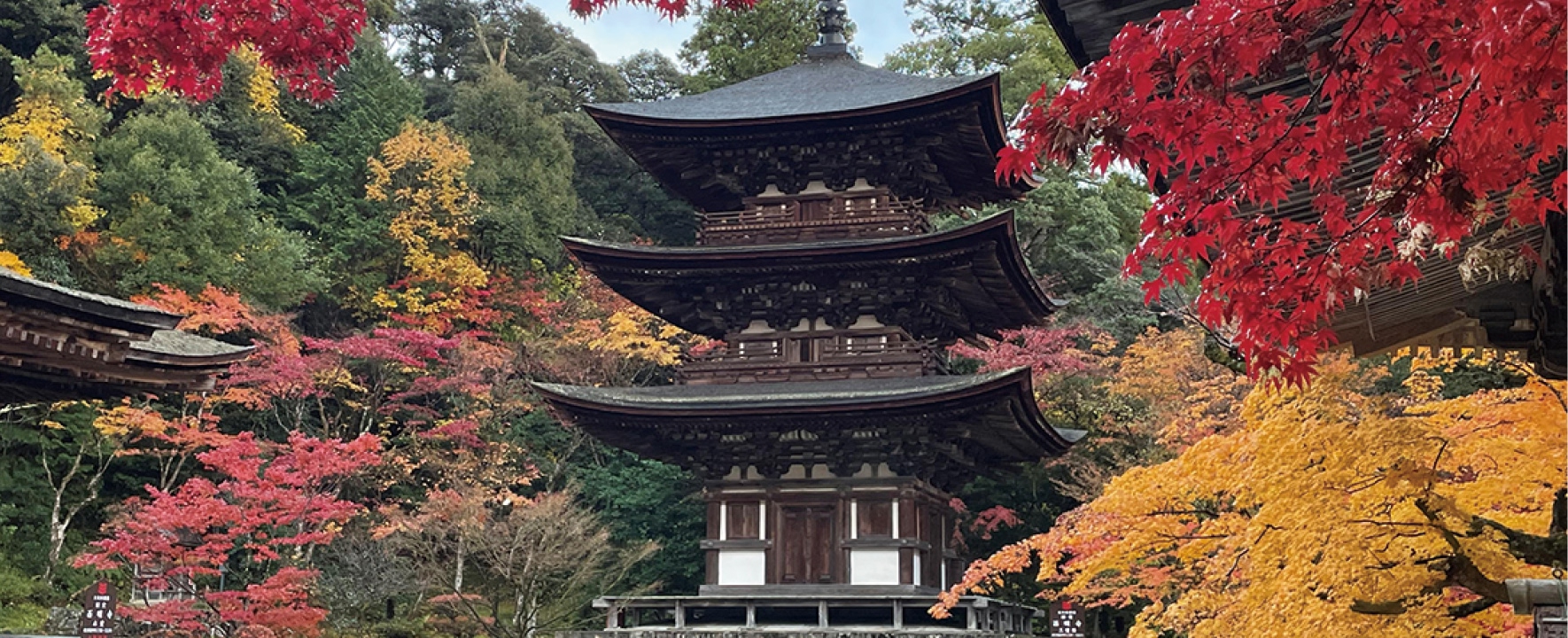 西明寺