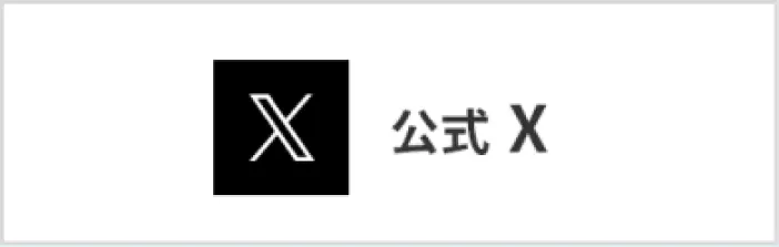 公式X